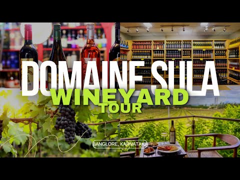Sula Vineyard Tour, Banglore | Wine Making Process Explained | മലയാളം