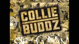 Collie Buddz - [Collie Buddz ] Come Around HQ