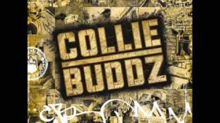 Download lagu Collie Buddz - [Collie Buddz ] Come Around HQ mp3