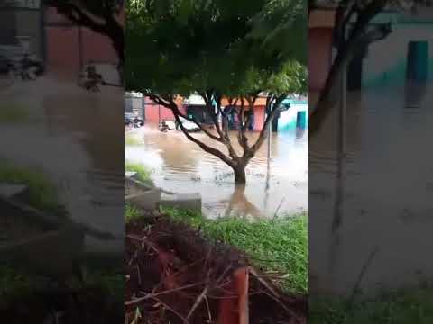 Febrero 24 de 2026. Fuertes  precipitaciones caen sobre el Mcpio Julio César Salas, Arapuey, Mérida.