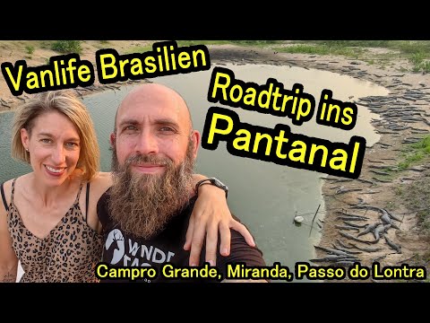 Pantanal Adventure: Caimans, Piranhas & Tapirs – Our Vanlife Highlight in Brazil - VLOG 9