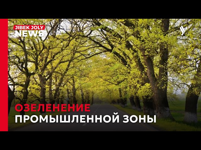 В индустриальном парке высаживают деревья и создают зелёный пояс