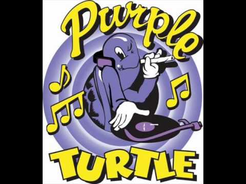 Boris Rush - Purple Turtles (Deka & Dave Rose Remix).