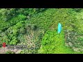 Wisata Bukit Mamake Dan Bapake Kota Baru Provinsi Kalimantan Selatan