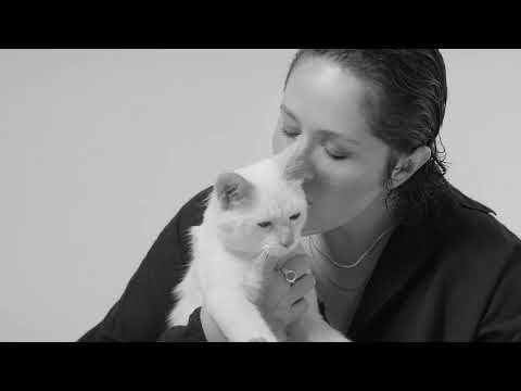 Ruzzi - León Divino