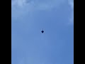 Flying Kite Kombuwa Kite Flying