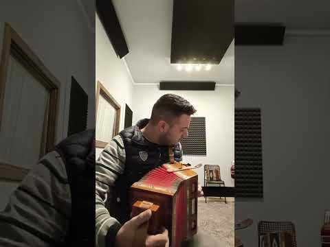 Tarantella Calabrese Bruno Marzano solo organetto