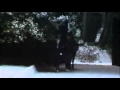 05. Paul McCartney & Wings - Winter Rose/Love Awake