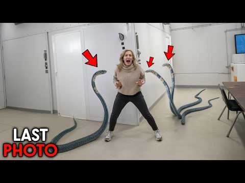 The Most HORRIFYING Snake Attacks Ever Recorded On Camera!