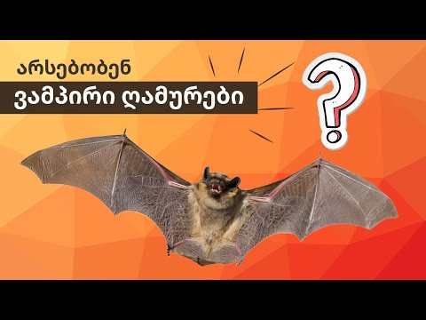 🦇 ❓მართლა არსებობენ ვამპირი ღამურები? ❓🦇