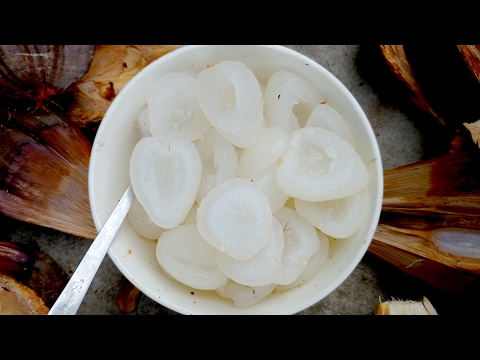 Asian Street Food | Khmer Food, Nipa palm, Nypa Fruticans # 1