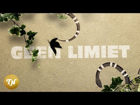Frenna X Young Ellens - Geen Limiet (prod. Shafique Roman)