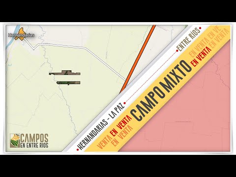 Campo Mixto en Venta en Hernandarias 🌾 | 386 Hectáreas Productivas en Entre Ríos