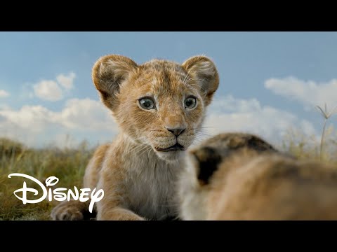 [무파사: 라이온 킹] "연말에 딱인 영화!" 리뷰 영상