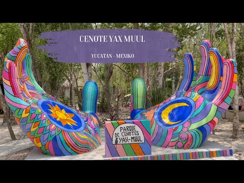 Cenote Yax Muul | Yucatan | Mexiko