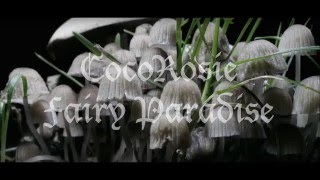 CocoRosie - Fairy Paradise (*Lyrics*)
