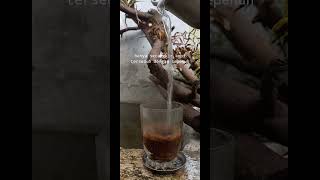 Download lagu Story wa sore hari mp3 Download lagu Story wa sore hari mp3