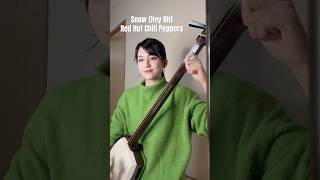 【shamisen HANA】 Snow (Hey Oh) - Red Hot Chili Peppers #弾いてみた #shamisen #cover #shorts