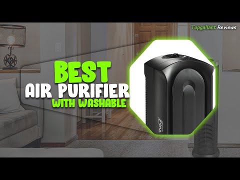 Breathing Clean: Top 5 Best Air Purifiers With Washable Filters For A Healthier Home (2025 Reviews)