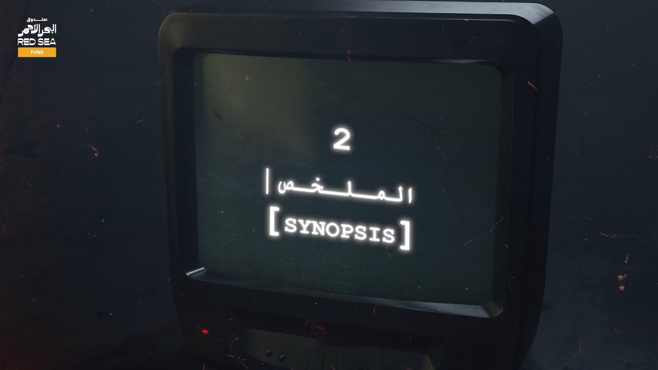 Director's Role: Synopsis