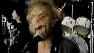 PETER FRAMPTON BACK TO EDEN