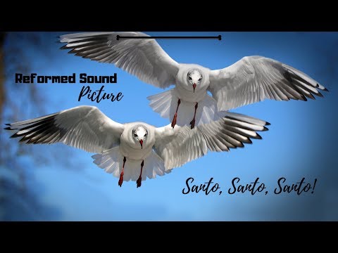 Santo Santo É - Misc Praise Songs