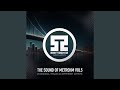 Red Cat (Original Mix)