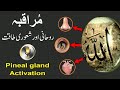 MURAQBA For Pineal Gland Activation Consciousness Allah Allah Allah Upedia In Hindi Urdu