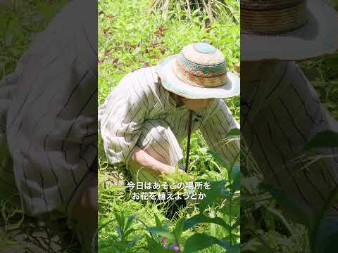 植物の構造-柳で編まれた-リビングウィッカーキャビンの作り方