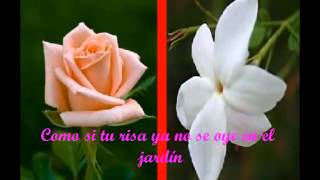 COMO IMAGINAR LUIS MIGUEL