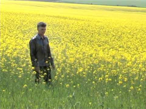 ZORILE DIN GALATI - TATICUL MEU (SPIROS GALATI)