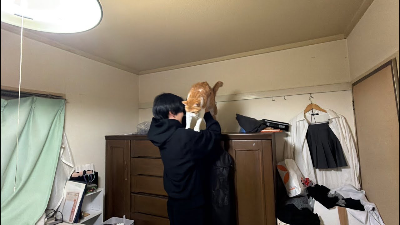 編集したデータ消えた配信