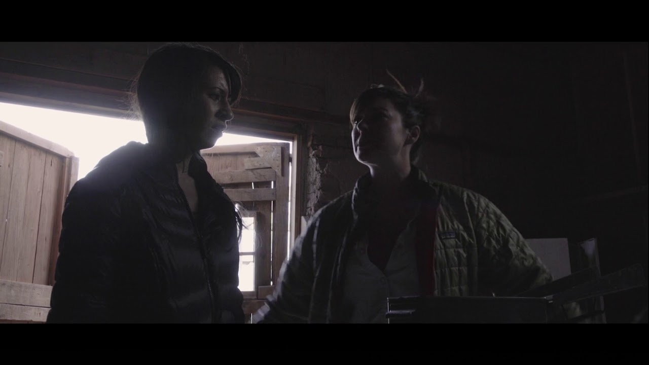 At Your Own Risk (2018 Movie) Official Trailer - Alexandra Boylan, Helenna Santos, Jeff Schroeder