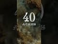 Westside Gravy - 40 ACRES (Lyric Video)