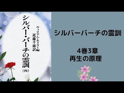 園芸 シルバーバーチ