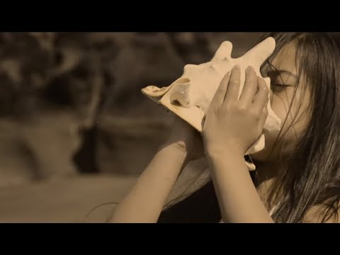 Samson Squad - Te Kuki Airani (Official Music Video)