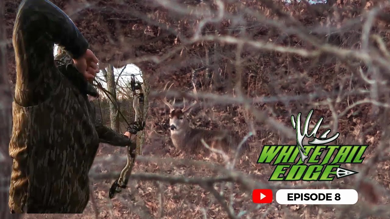 Season 10 Episode 8