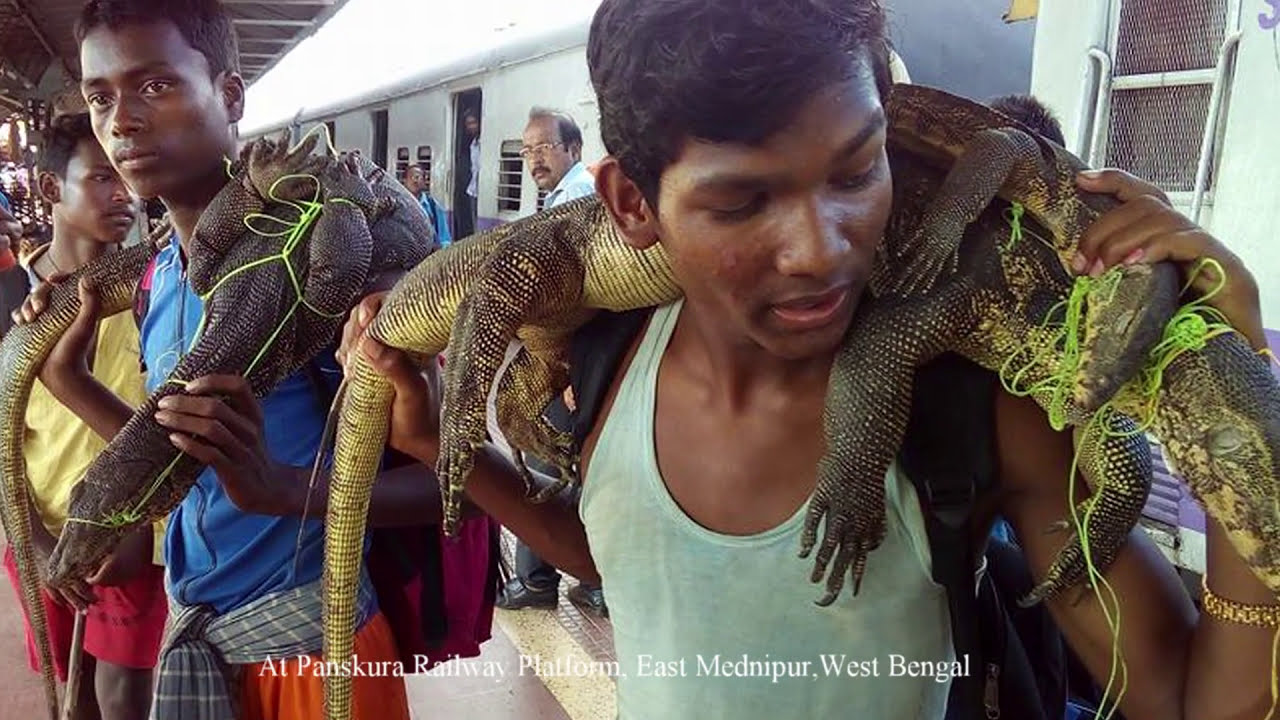 Horrors of Tribal Hunting in South Bengal