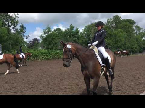 Westküstenturnier 2017 – Vorbereitung auf die Dressurprüfungen