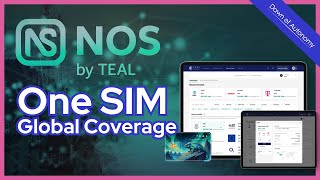 Global Network Flexibility for Drone Fleets with Teal