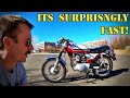 Sym Wolf 150 One Of The Best Modern Mini Cafe Racers