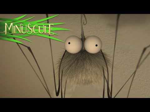 Minuscule – Mosquito net / Moustiquaire (Season 2)