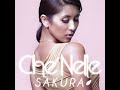 Che'nelle -- Sakura (English version with lyrics ...