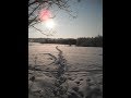 The Watersons - Jack Frost