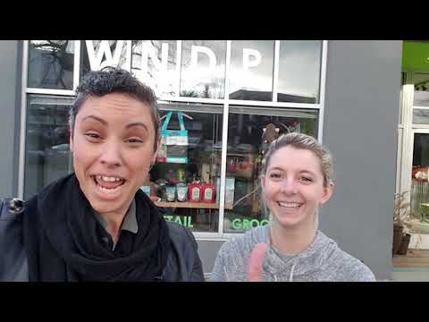download lagu mp3 mp4 Wet Noses Dog Park, download lagu Wet Noses Dog Park gratis, unduh video klip Wet Noses Dog Park