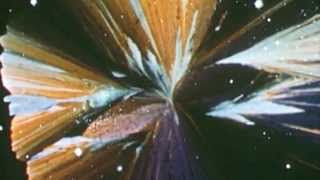 Woodpigeon - When You Look For Trouble, Trouble Comes