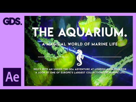 The Complete Beginner s Guide To Adobe After Effects