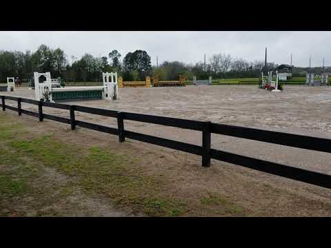Progressive Show Jumping at Highfields