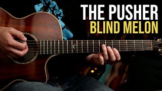 How to Play &quot;The Pusher&quot; by Blind Melon  | Guitar Lesson