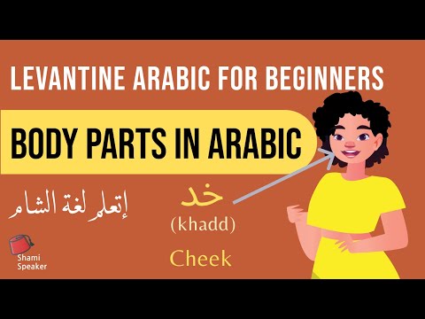 Body Part Vocabulary in Levantine Arabic | Arabic Language Learning for Beginners